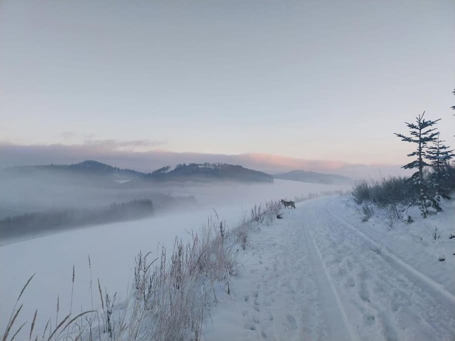 Haus Julia Direkt Am Hennesee Mitten Im Sauerland Meschede Exterior foto